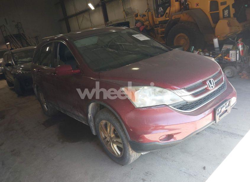 2010 Honda Cr-v EX-L (VIN 5J6RE4H77AL020371) main photo
