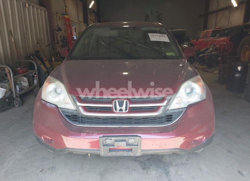 Photo 12 of 2010 Honda Cr-v EX-L (VIN 5J6RE4H77AL020371)