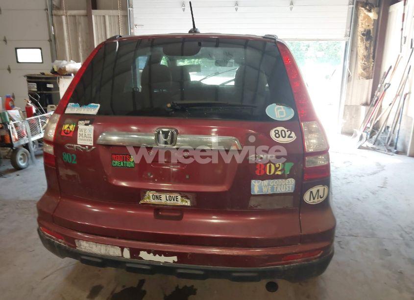 Photo 16 of 2010 Honda Cr-v EX-L (VIN 5J6RE4H77AL020371)