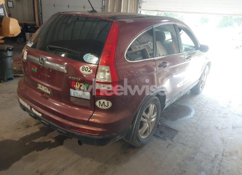 Photo 4 of 2010 Honda Cr-v EX-L (VIN 5J6RE4H77AL020371)
