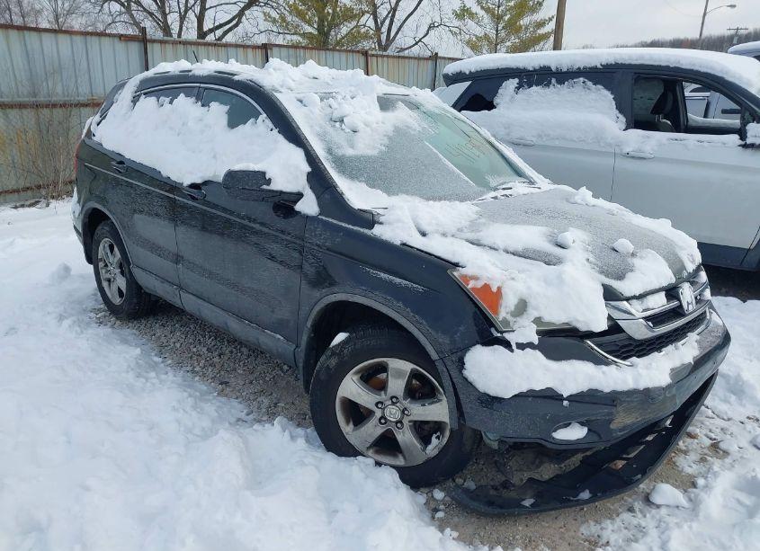 2010 Honda Cr-v EX-L (VIN 5J6RE4H77AL024582) main photo