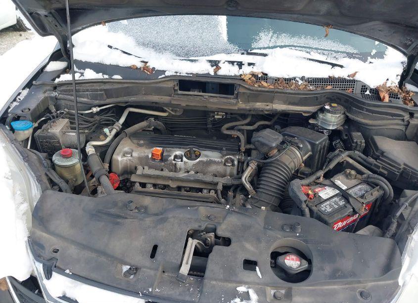 Photo 10 of 2010 Honda Cr-v EX-L (VIN 5J6RE4H77AL024582)