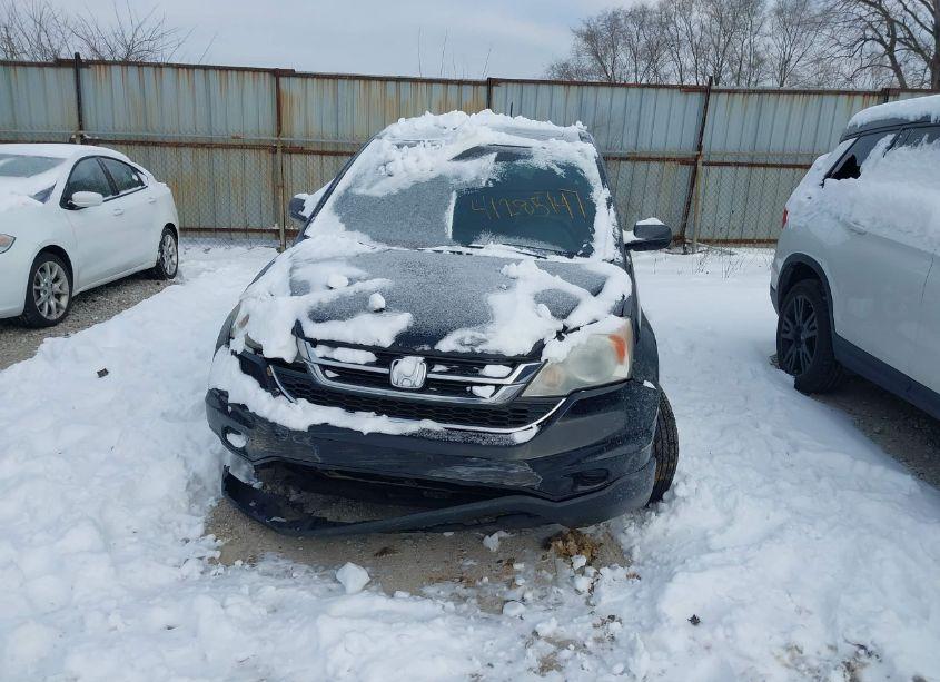 Photo 12 of 2010 Honda Cr-v EX-L (VIN 5J6RE4H77AL024582)
