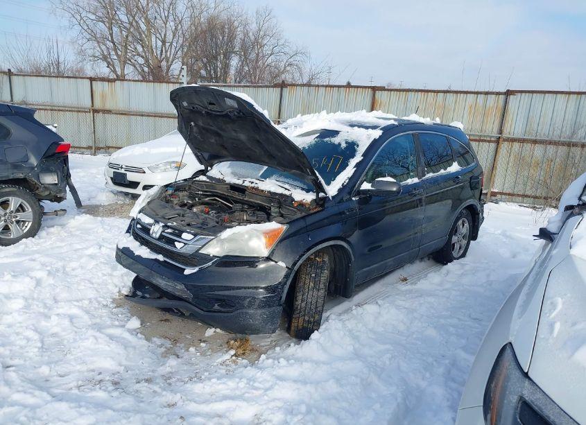 Photo 14 of 2010 Honda Cr-v EX-L (VIN 5J6RE4H77AL024582)