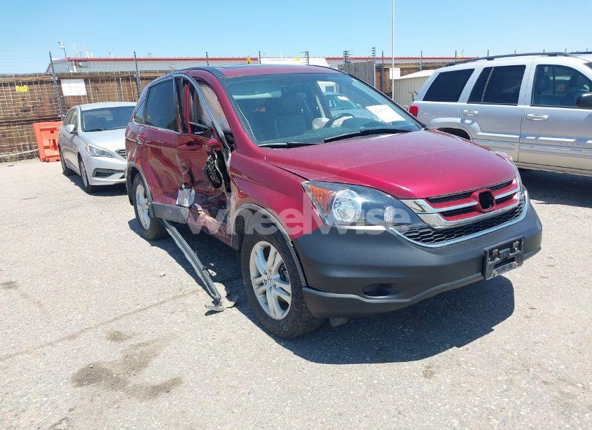 2010 Honda Cr-v EX-L (VIN 5J6RE4H77AL030320) main photo