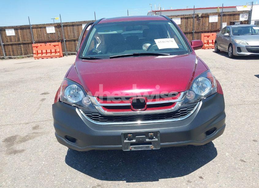 Photo 12 of 2010 Honda Cr-v EX-L (VIN 5J6RE4H77AL030320)