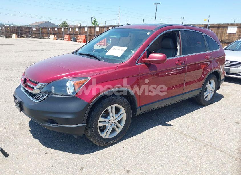 Photo 2 of 2010 Honda Cr-v EX-L (VIN 5J6RE4H77AL030320)