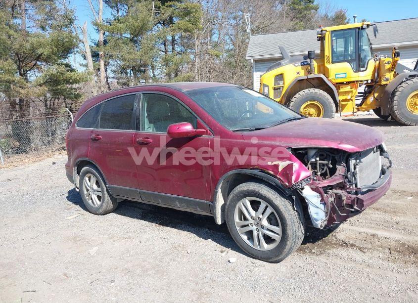 2010 Honda Cr-v EX-L (VIN 5J6RE4H77AL039485) main photo