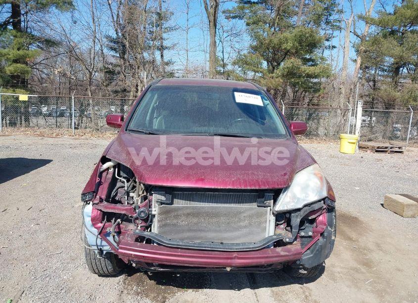 Photo 12 of 2010 Honda Cr-v EX-L (VIN 5J6RE4H77AL039485)