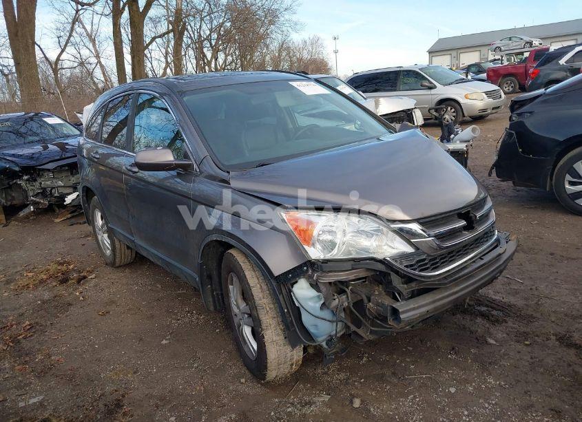 2010 Honda Cr-v EX-L (VIN 5J6RE4H77AL056304) main photo