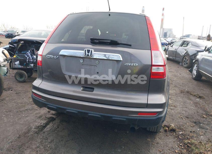 Photo 16 of 2010 Honda Cr-v EX-L (VIN 5J6RE4H77AL056304)