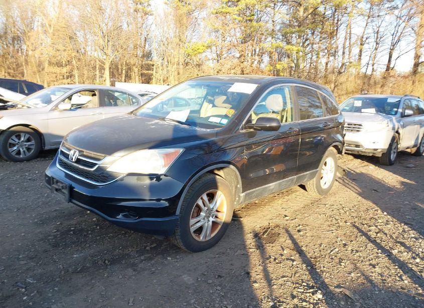 Photo 2 of 2010 Honda Cr-v EX-L (VIN 5J6RE4H77AL066508)