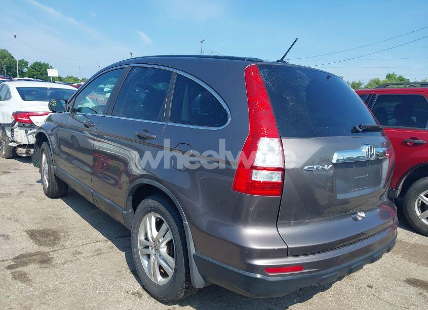 Photo 3 of 2010 Honda Cr-v EX-L (VIN 5J6RE4H78AL045828)