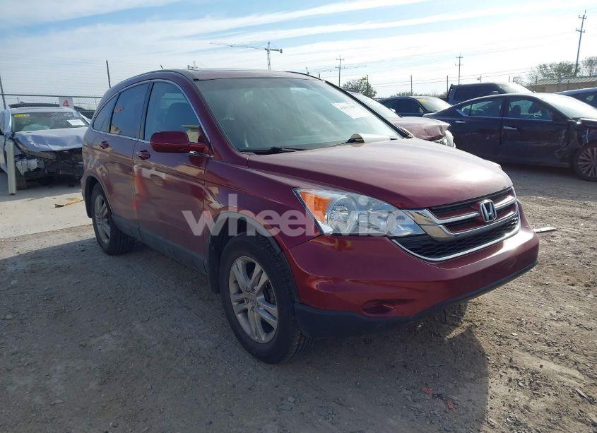 2010 Honda Cr-v EX-L (VIN 5J6RE4H79AL014541) main photo
