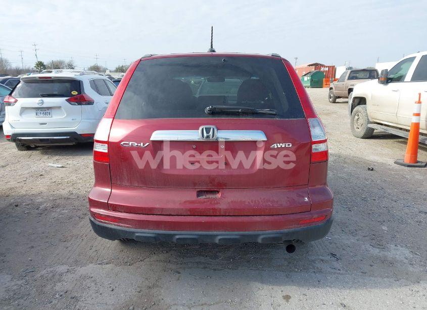 Photo 16 of 2010 Honda Cr-v EX-L (VIN 5J6RE4H79AL014541)