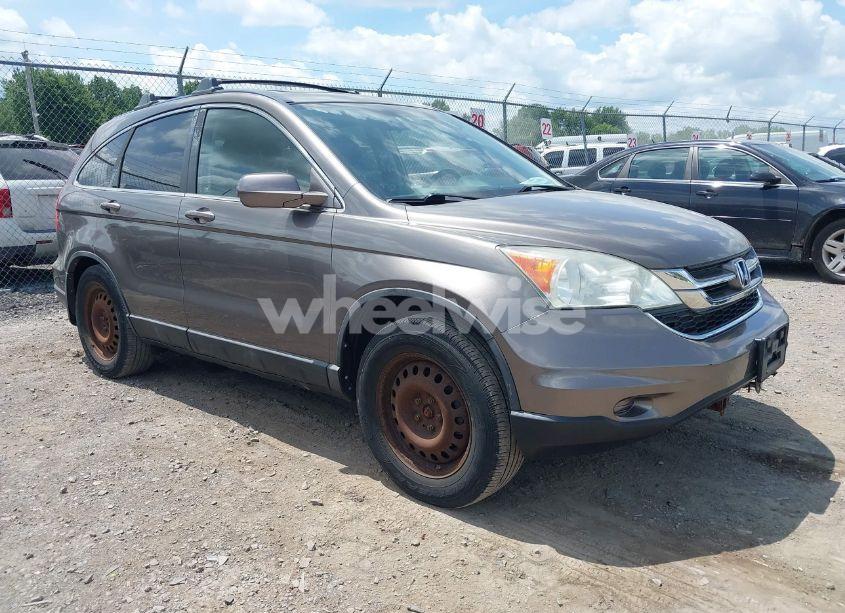 2010 Honda Cr-v EX-L (VIN 5J6RE4H79AL017357) main photo