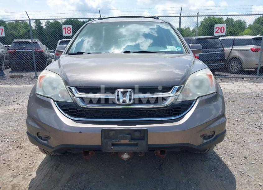 Photo 12 of 2010 Honda Cr-v EX-L (VIN 5J6RE4H79AL017357)
