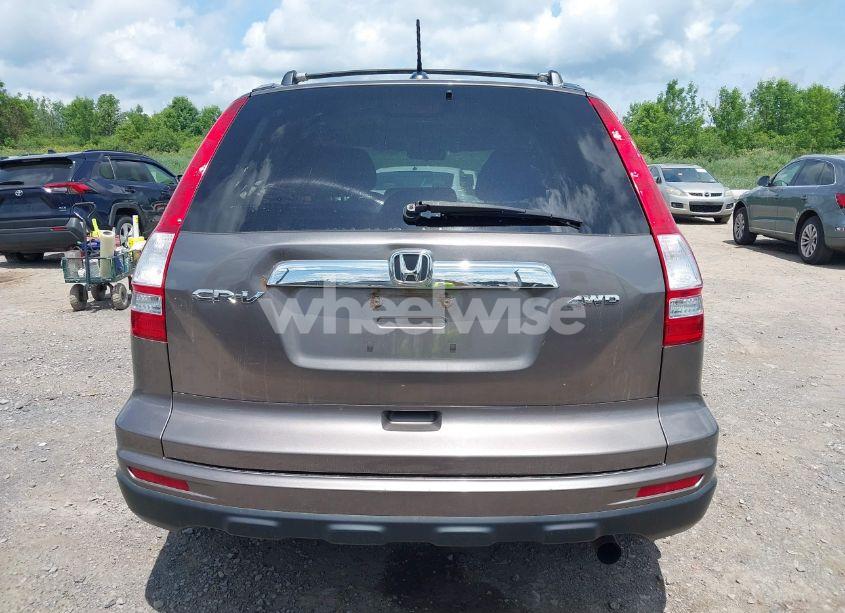Photo 16 of 2010 Honda Cr-v EX-L (VIN 5J6RE4H79AL017357)