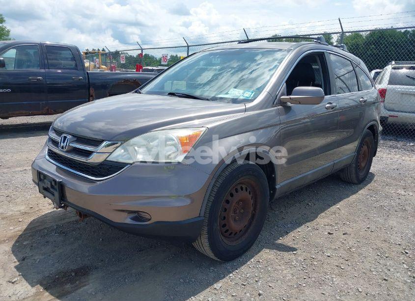 Photo 2 of 2010 Honda Cr-v EX-L (VIN 5J6RE4H79AL017357)