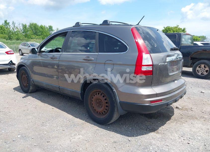 Photo 3 of 2010 Honda Cr-v EX-L (VIN 5J6RE4H79AL017357)