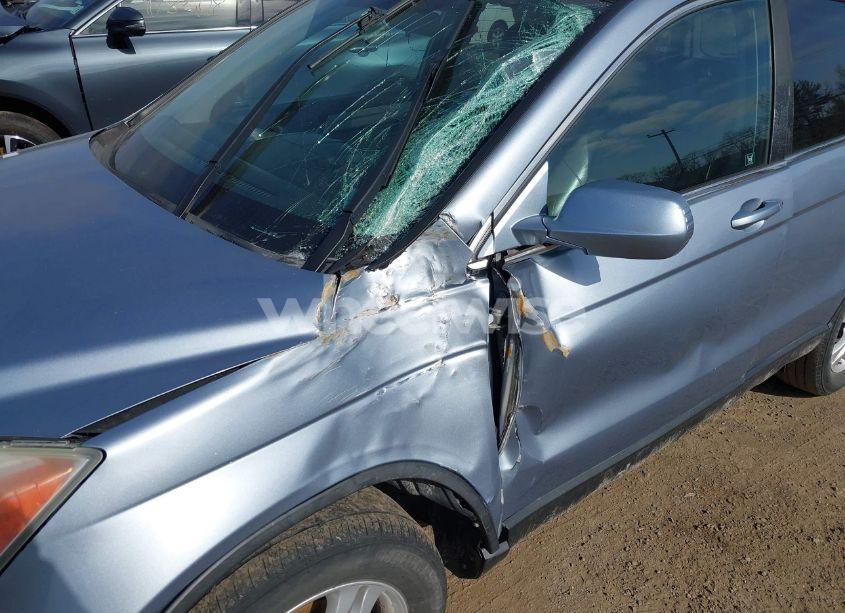 Photo 6 of 2010 Honda Cr-v EX-L (VIN 5J6RE4H79AL026396)