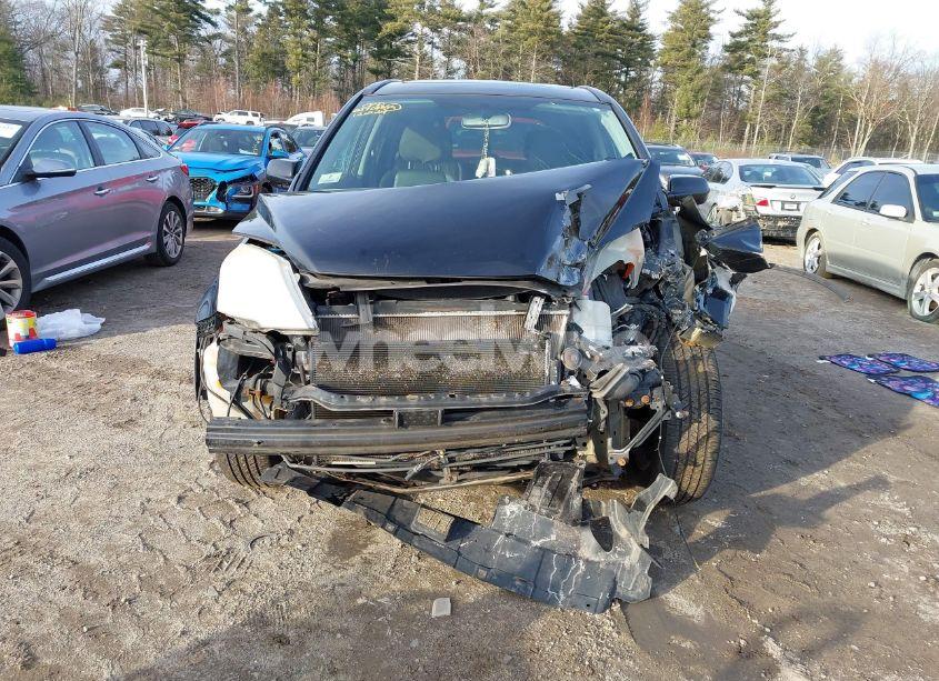 Photo 13 of 2010 Honda Cr-v EX-L (VIN 5J6RE4H79AL031405)