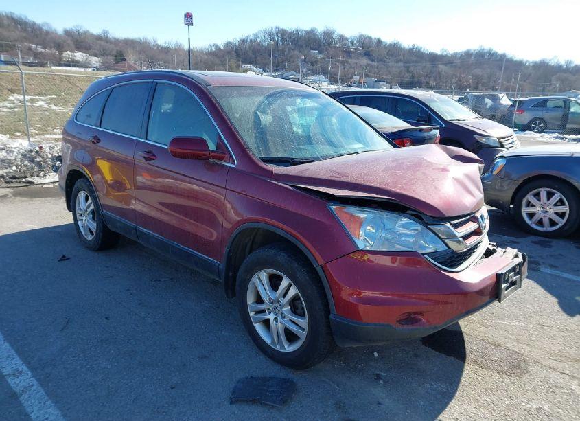 2010 Honda Cr-v EX-L (VIN 5J6RE4H79AL039410) main photo