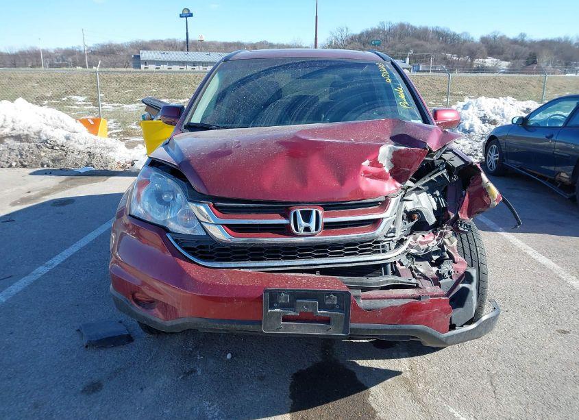 Photo 12 of 2010 Honda Cr-v EX-L (VIN 5J6RE4H79AL039410)