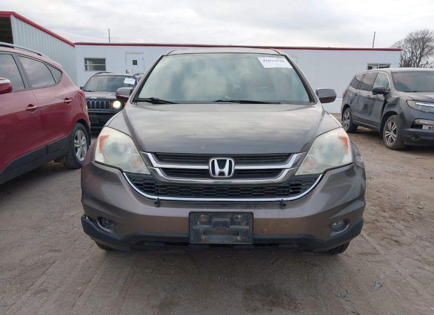 Photo 12 of 2010 Honda Cr-v EX-L (VIN 5J6RE4H79AL083178)