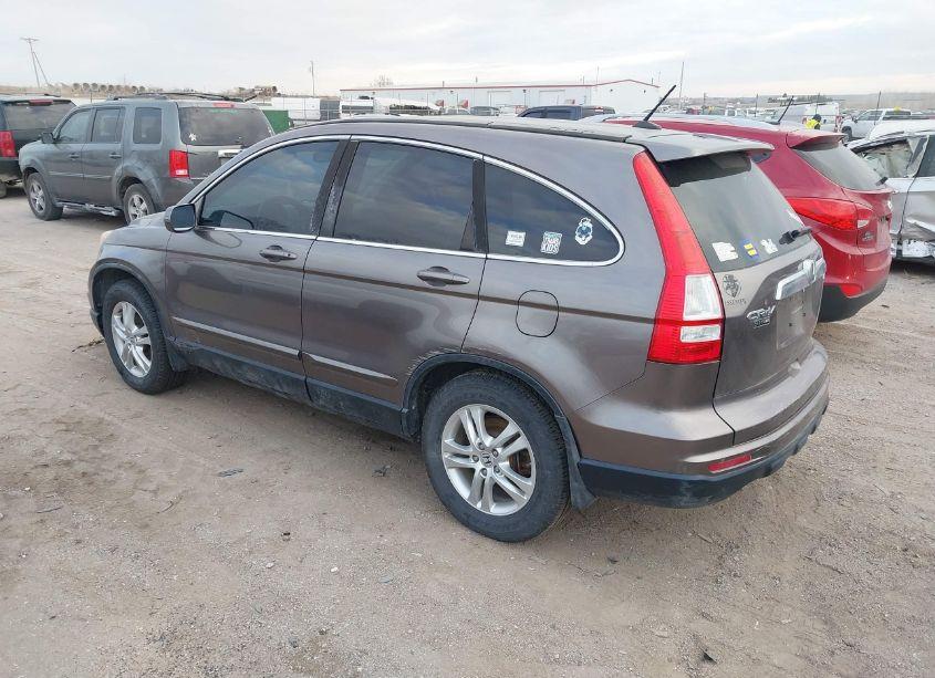 Photo 3 of 2010 Honda Cr-v EX-L (VIN 5J6RE4H79AL083178)