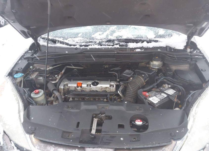 Photo 10 of 2010 Honda Cr-v EX-L (VIN 5J6RE4H79AL084203)