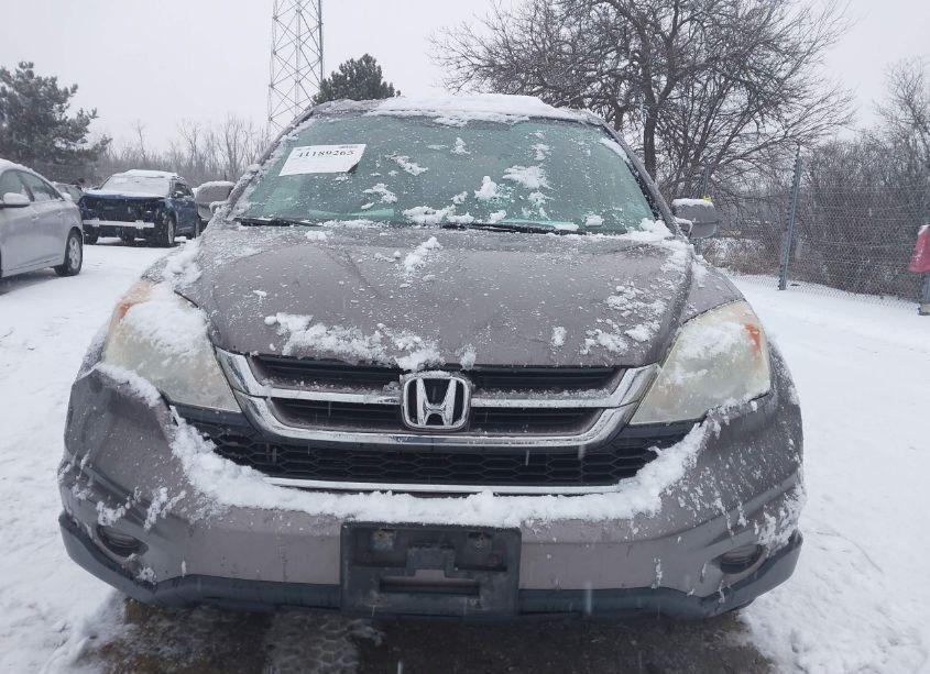 Photo 12 of 2010 Honda Cr-v EX-L (VIN 5J6RE4H79AL084203)
