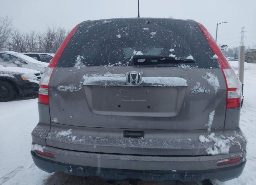 Photo 16 of 2010 Honda Cr-v EX-L (VIN 5J6RE4H79AL084203)