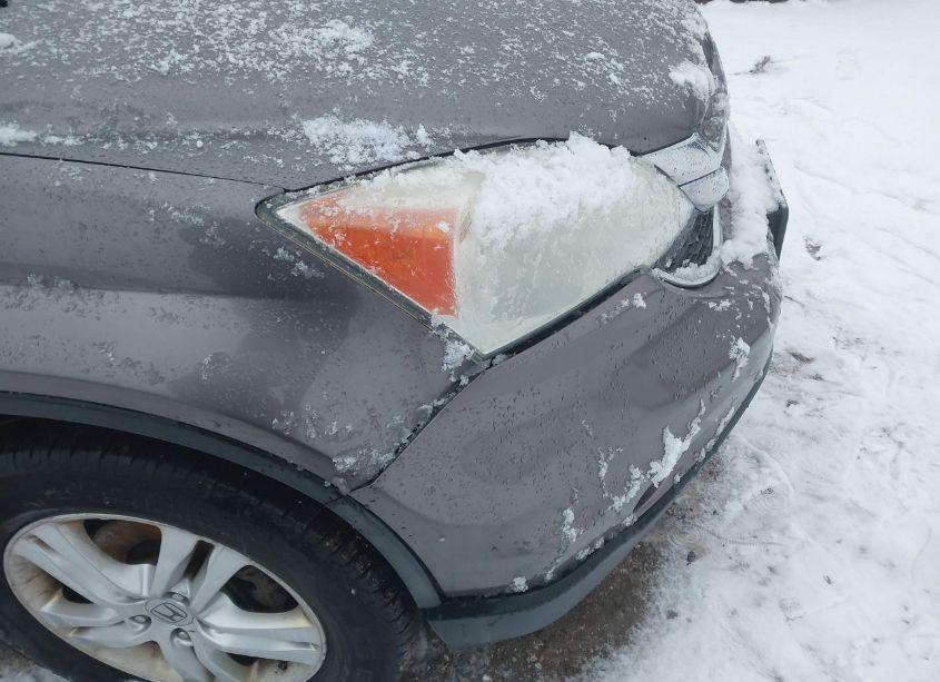 Photo 18 of 2010 Honda Cr-v EX-L (VIN 5J6RE4H79AL084203)