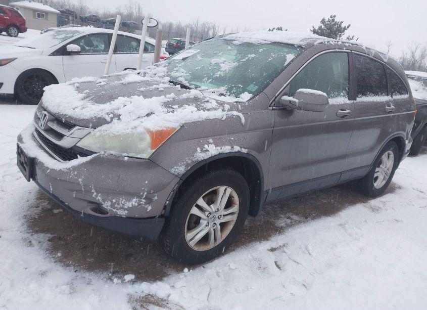Photo 2 of 2010 Honda Cr-v EX-L (VIN 5J6RE4H79AL084203)
