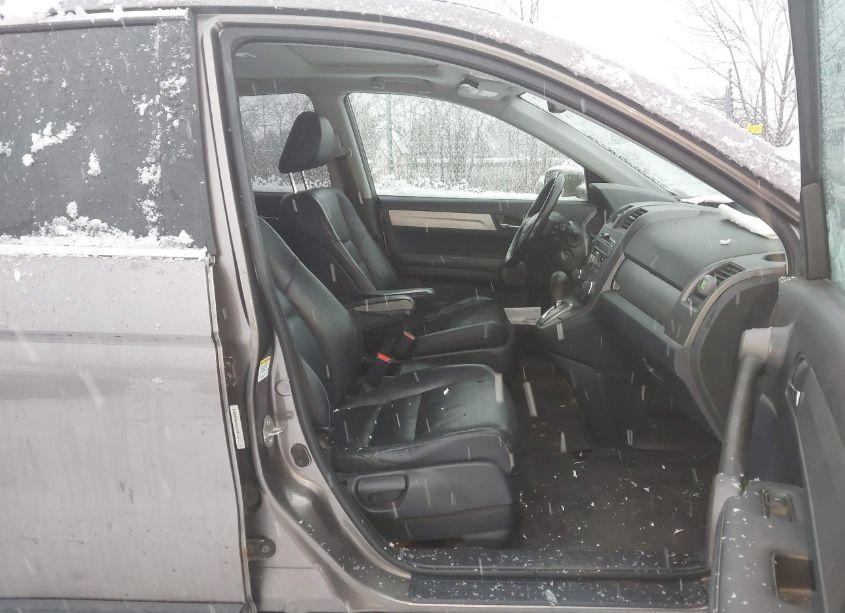 Photo 5 of 2010 Honda Cr-v EX-L (VIN 5J6RE4H79AL084203)