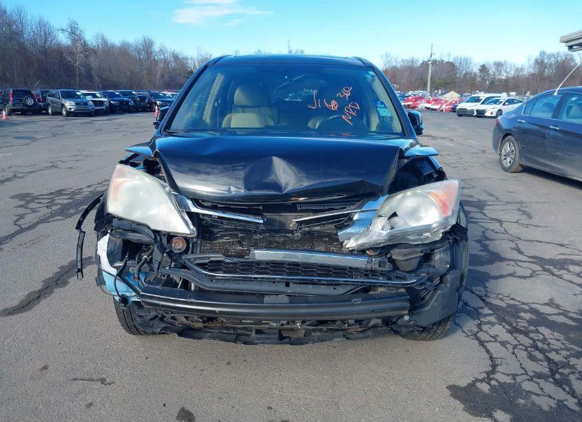 Photo 12 of 2010 Honda Cr-v EX-L (VIN 5J6RE4H7XAL012992)