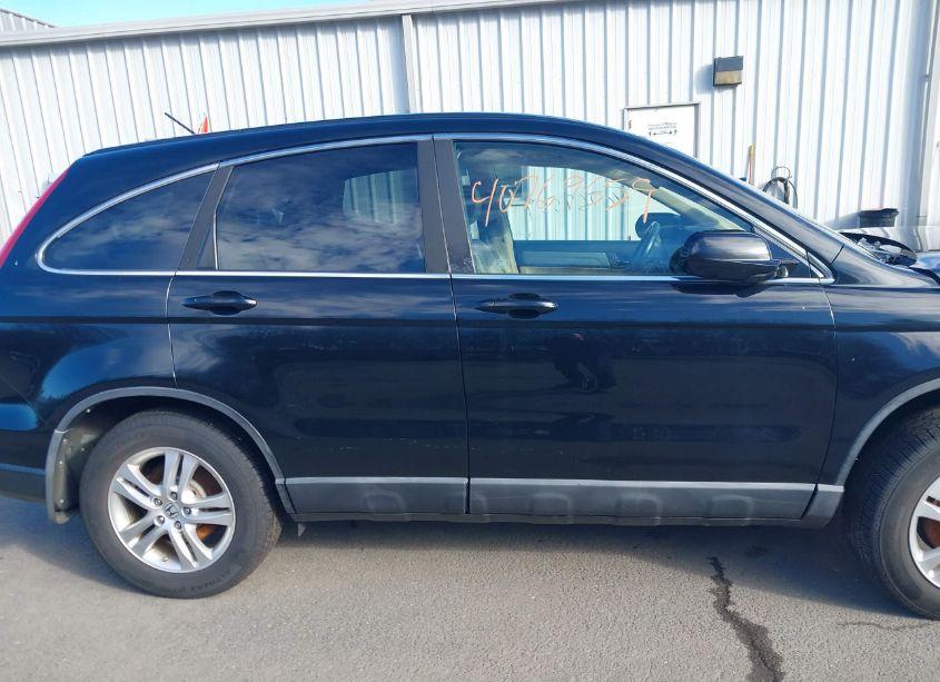 Photo 13 of 2010 Honda Cr-v EX-L (VIN 5J6RE4H7XAL012992)