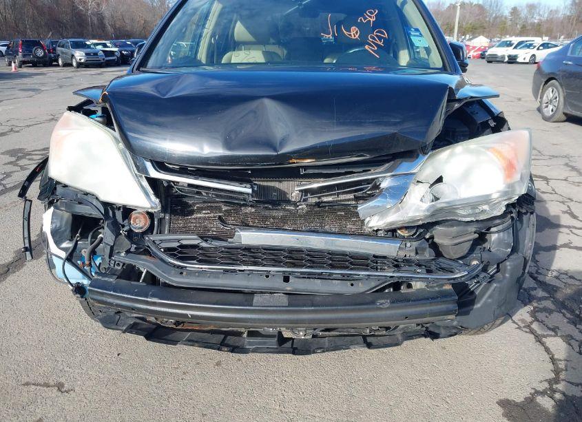 Photo 6 of 2010 Honda Cr-v EX-L (VIN 5J6RE4H7XAL012992)