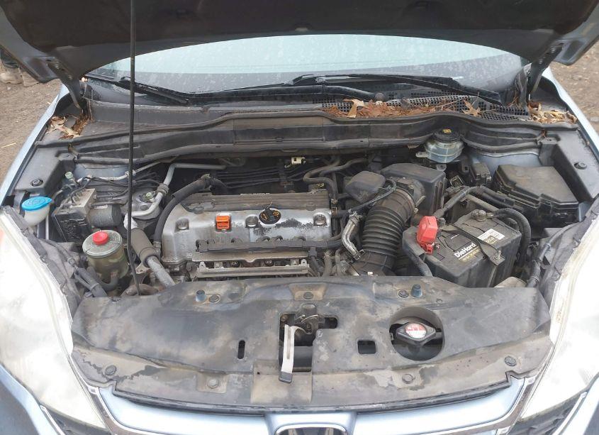 Photo 10 of 2010 Honda Cr-v EX-L (VIN 5J6RE4H7XAL047807)