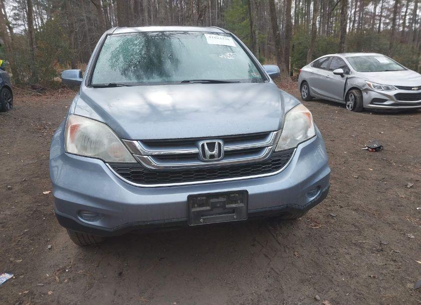 Photo 12 of 2010 Honda Cr-v EX-L (VIN 5J6RE4H7XAL047807)