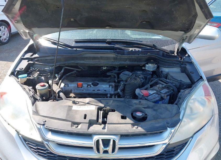 Photo 10 of 2010 Honda Cr-v EX-L (VIN 5J6RE4H7XAL049539)