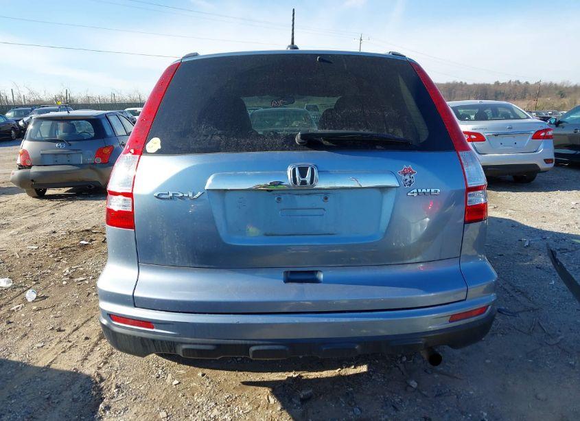 Photo 15 of 2010 Honda Cr-v EX-L (VIN 5J6RE4H7XAL055440)