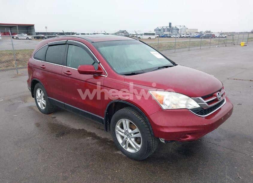 2010 Honda Cr-v EX-L (VIN 5J6RE4H7XAL061660) main photo