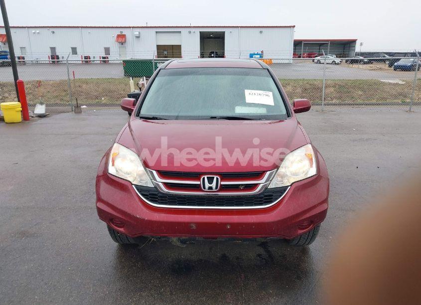 Photo 12 of 2010 Honda Cr-v EX-L (VIN 5J6RE4H7XAL061660)