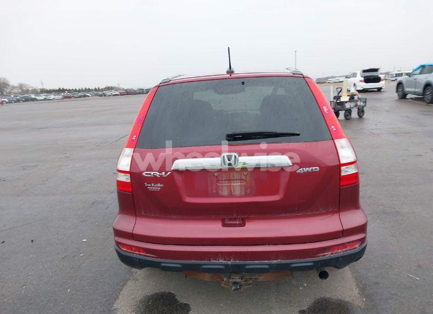 Photo 16 of 2010 Honda Cr-v EX-L (VIN 5J6RE4H7XAL061660)