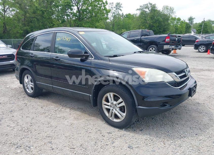 2010 Honda Cr-v EX-L (VIN 5J6RE4H7XAL084050) main photo