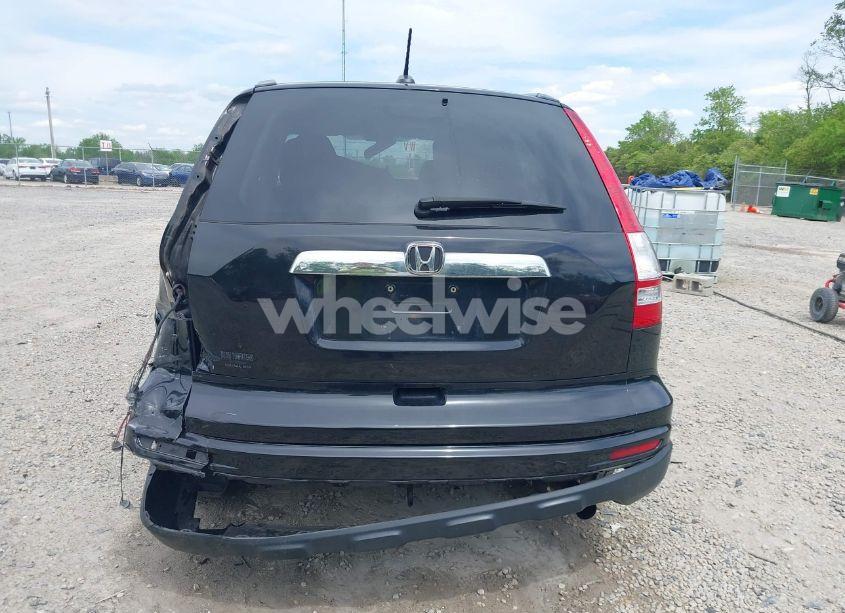 Photo 17 of 2010 Honda Cr-v EX-L (VIN 5J6RE4H7XAL084050)