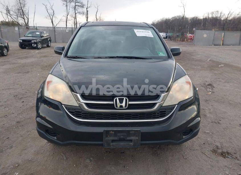 Photo 12 of 2010 Honda Cr-v EX-L (VIN 5J6RE4H7XAL085618)