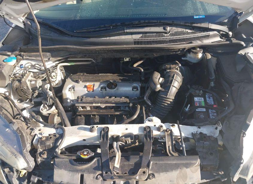 Photo 10 of 2014 Honda Cr-v LX (VIN 5J6RM3H31EL034699)